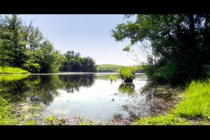 Lake Waban, Wellesley College photo by Soe Lin